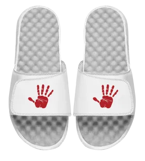 Currence Handprint Slides